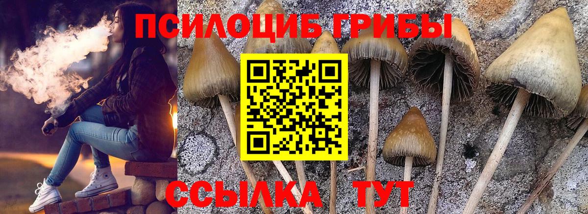 Псилоцибиновые грибы Magic Shrooms Мытищи