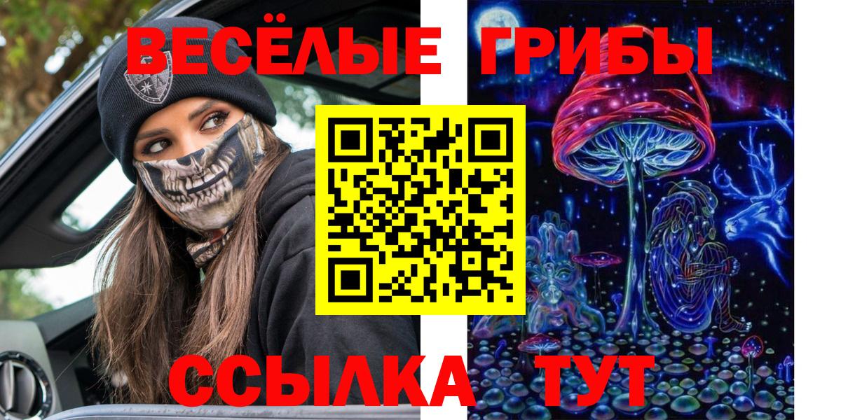 закладка  Вход с VPN  Мытищи  Галлюциногенные грибы мицелий 